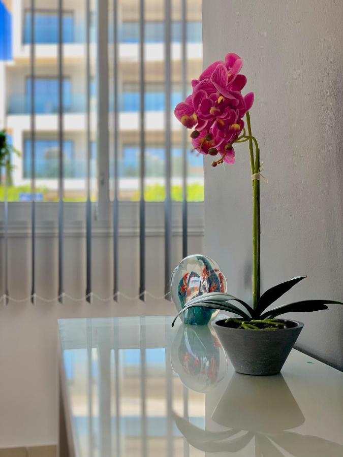 Diana Townhouse 1 Apartment Paphos ภายนอก รูปภาพ